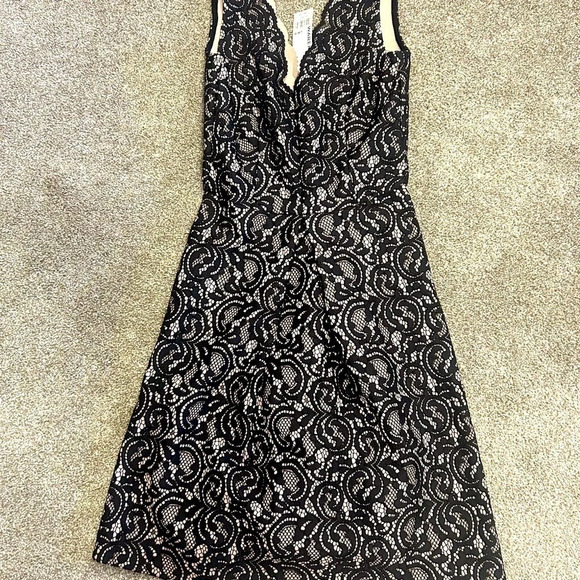 NWT warehouse brand dress size  2 black lace - Picture 4 of 8